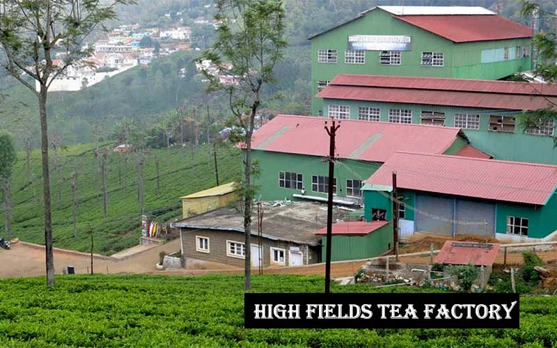 High Fields Tea Factory