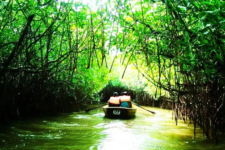 Pichavaram Mangrove Forest Pichavaram Mangrove Forest