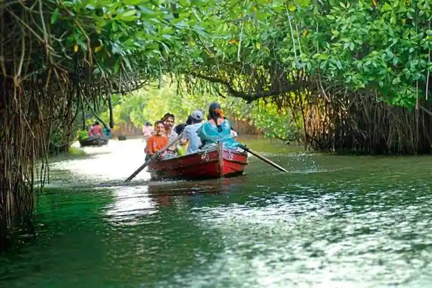Pichvaram Backwaters Pichvaram Backwaters