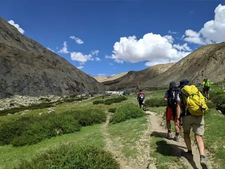 The Markha Valley Trek
