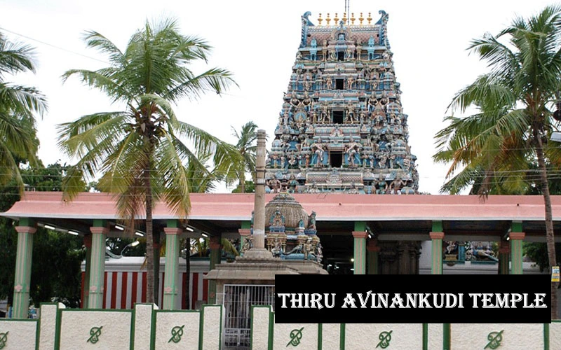 Thiru Avinankudi Temple
